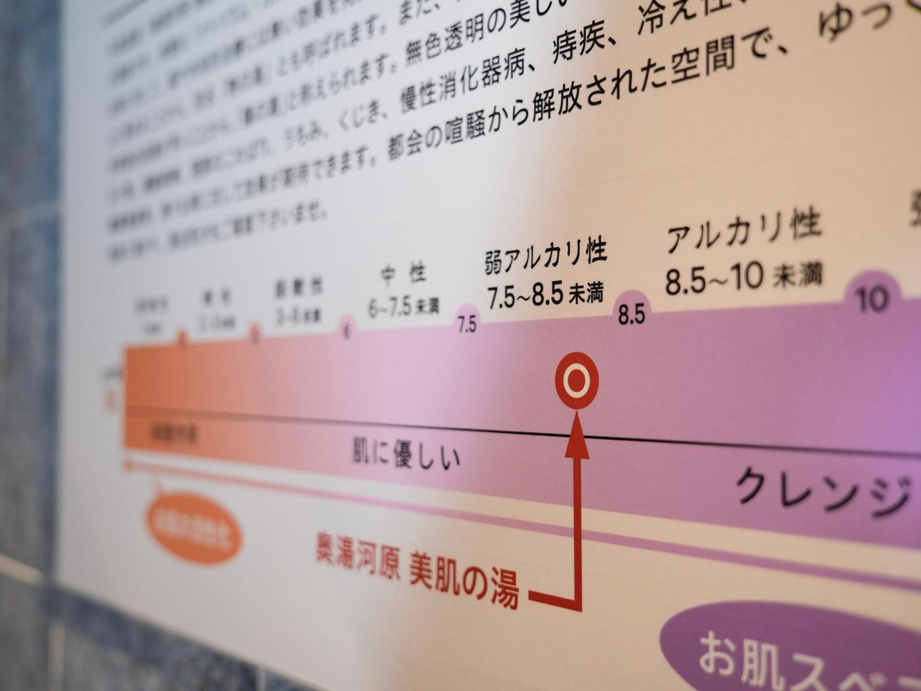Super Hotel Premier Ikebukuro Natural Hot Spring Tokyo Dış mekan fotoğraf