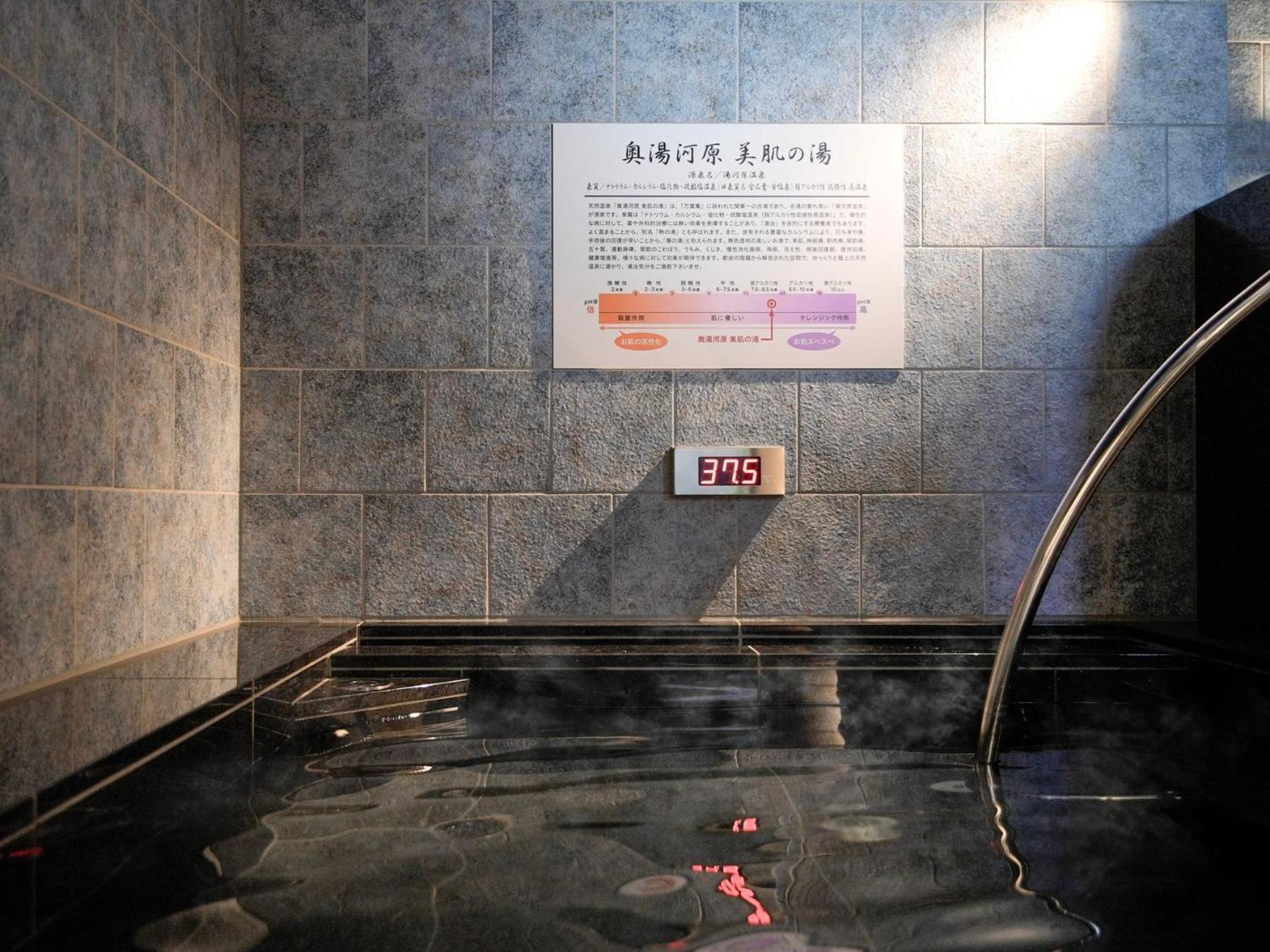 Super Hotel Premier Ikebukuro Natural Hot Spring Tokyo Dış mekan fotoğraf